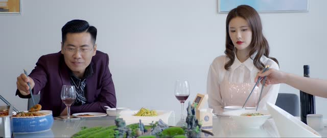 向北的遗憾(20集) 向北的遗憾(20集)解说