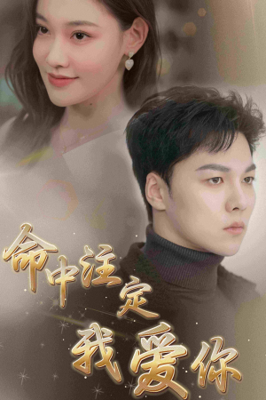 命中注定我爱你（75集）短剧解说热门