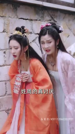 大宋小郎君（92集）短剧解说全集