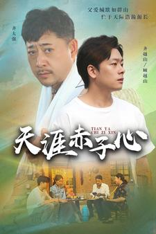 天涯赤子心（60集）一口气看完