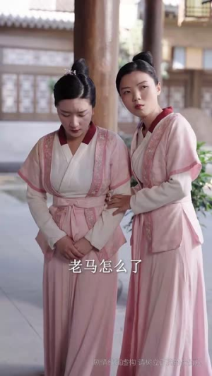 嫡女的荣耀(71集) 嫡女的荣耀(71集)短剧免费观看
