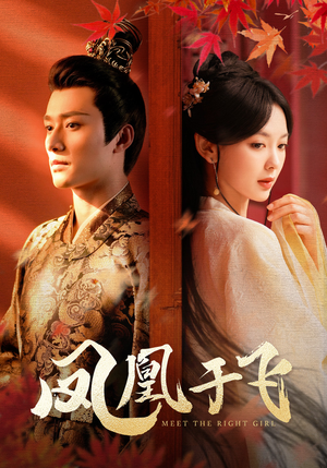 凤凰于飞（79集）女频短剧推荐