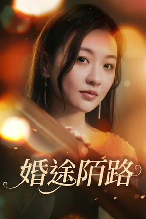 婚途陌路（15集）热播短剧追不停