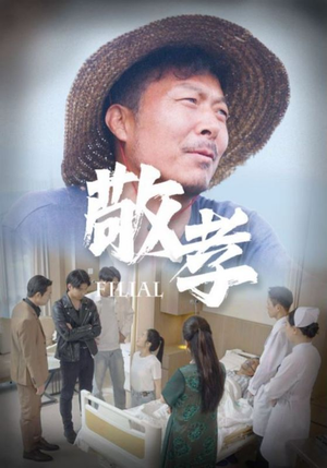 敬孝（61集）免费短剧资源