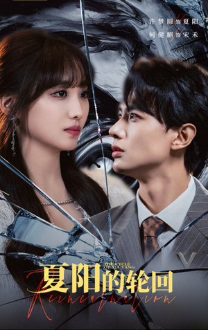 夏阳的轮回(85集) 夏阳的轮回(85集)观看软件