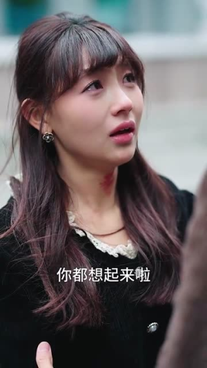 九爷换我来爱你(70集) 九爷换我来爱你(70集)第二季