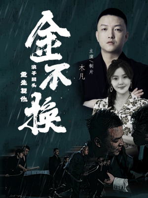 金不换（32集）最后一集