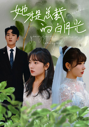 她才是总裁的白月光（90集）全集完整版