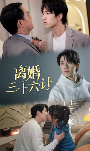 离婚三十六计（96集）亿万短剧抢先看