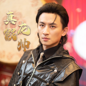 真假龙帅(81集) 真假龙帅(81集)在线看完整版