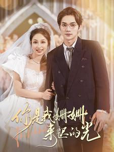 你是我姗姗来迟的光(99集) 你是我姗姗来迟的光(99集)免费全集短剧