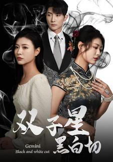 双子星黑白切(82集) 双子星黑白切(82集)短剧免费分享