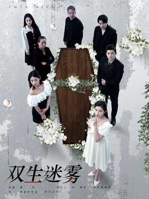双生迷雾(80集) 双生迷雾(80集)短剧解说全集