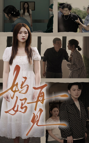 妈妈，再见（28集）口碑之选免费看