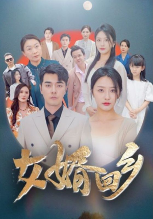 女婿回乡（120集）网络小短剧