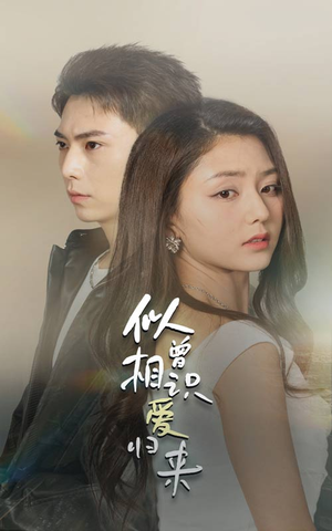 似曾相识爱归来(77集) 似曾相识爱归来(77集)全集