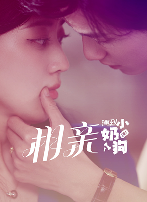 相亲遇到小奶狗(80集) 相亲遇到小奶狗(80集)全季一次看完