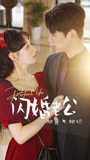 闪婚老公相逢不相识(90集) 闪婚老公相逢不相识(90集)最火短剧热播