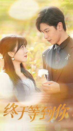 终于等到你(80集) 终于等到你(80集)大结局完美收官