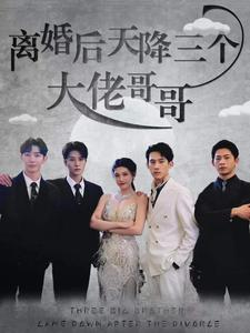 离婚后天降三个大佬哥哥(83集) 离婚后天降三个大佬哥哥(83集)古装短剧热播