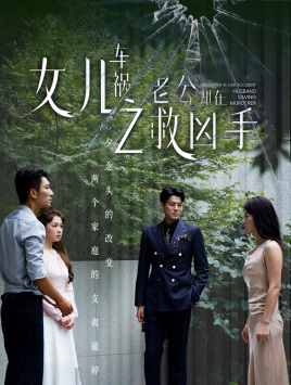 女儿车祸之老公却在救凶手（40集）夸克网盘观看