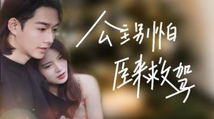 公主别怕,臣来救驾(90集) 公主别怕,臣来救驾(90集)推荐你们也去看