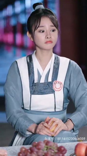 鸳鸯错（80集）80到100集