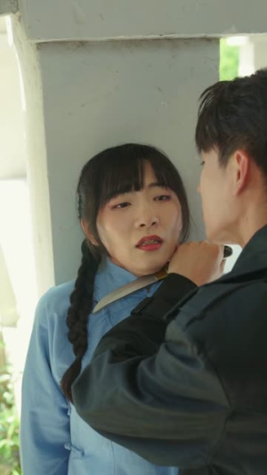 奈何少帅招惹我(100集) 奈何少帅招惹我(100集)好看上头短剧