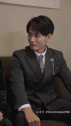 赘婿天子（91集）全集下载