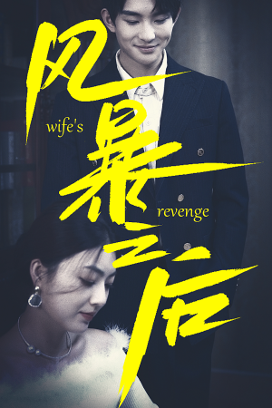 风暴之后(80集) 风暴之后(80集)更新时间