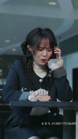 风起时见你（93集）免费版