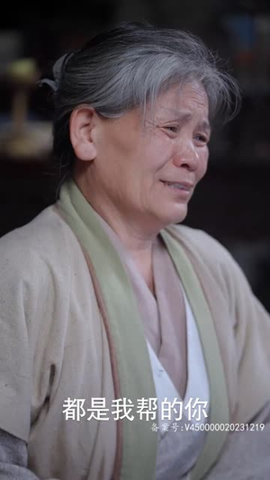 腹黑王爷的千金丫鬟（94集）在线看免费版