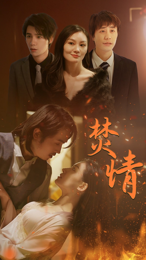 焚情（79集）全集