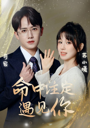命中注定遇见你(96集) 命中注定遇见你(96集)西瓜短剧免费看
