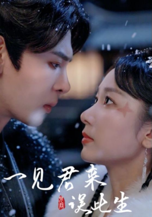 一见君来误此生（95集）火爆短剧抢先看
