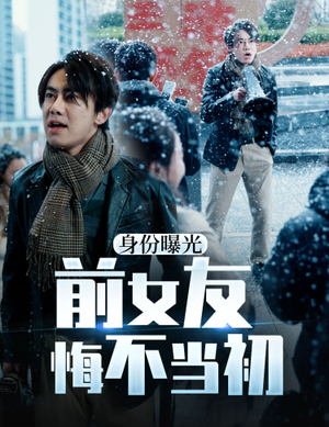身份曝光前女友悔不当初(94集) 身份曝光前女友悔不当初(94集)看到了大结局