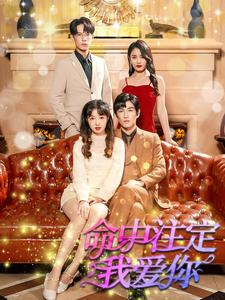命中注定我爱你(99集) 命中注定我爱你(99集)一口气追完短剧