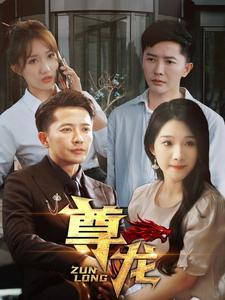 新版：尊龙（97集）男主角是谁