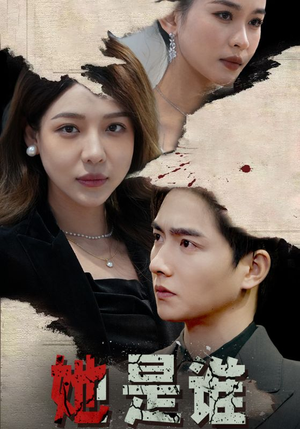 她是谁(79集) 她是谁(79集)全季一次看完