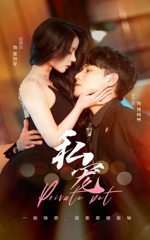 私宠（94集）爆款短剧推荐