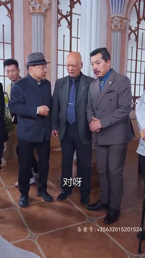 特工夫妇（82集）免费短剧看不停