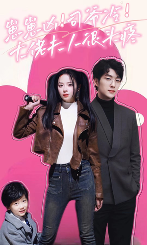 崽崽凶!司爷冷!大佬夫人很头疼(80集) 崽崽凶!司爷冷!大佬夫人很头疼(80集)夸克在线观看