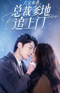 六宝来袭总裁爹地追上门(79集) 六宝来袭总裁爹地追上门(79集)短剧太好看