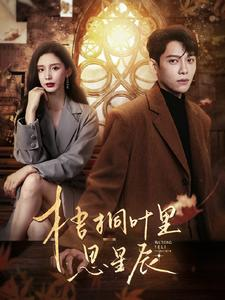 梧桐叶里思星辰(100集) 梧桐叶里思星辰(100集)高清画质免费看