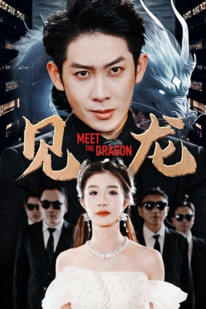 见龙(78集) 见龙(78集)短剧介绍