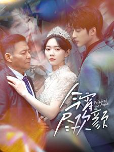 今宵尽欢颜（99集）最火短剧热播中