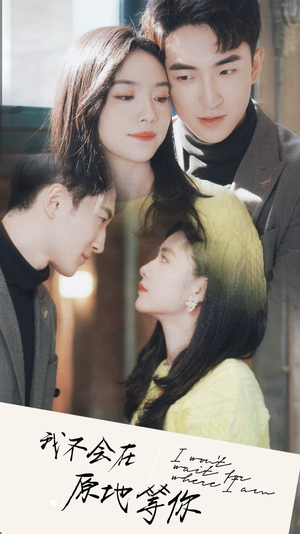 我不会在原地等你（48集）红果免费短剧