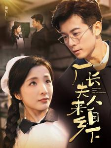 厂长夫人来自乡下（60集）精彩短剧看全集