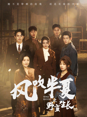 风吹半夏之野蛮生长（59集）短剧太精彩