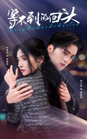 等不到的回头(35集) 等不到的回头(35集)短剧上头又好看